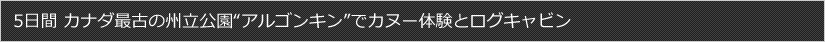 5日間 カナダ最古の州立公園“アルゴンキン”でカヌー体験とログキャビン