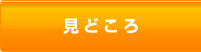 見どころ