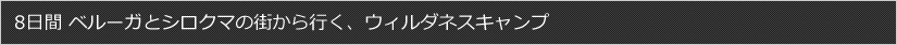 8日間 ベルーガとシロクマの街から行く、ウィルダネスキャンプ