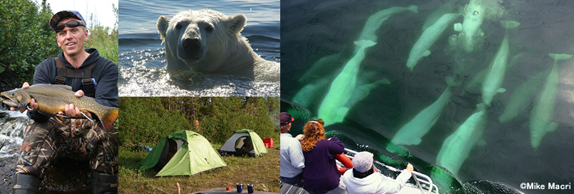 8日間 ベルーガとシロクマの街から行く、ウィルダネスキャンプ